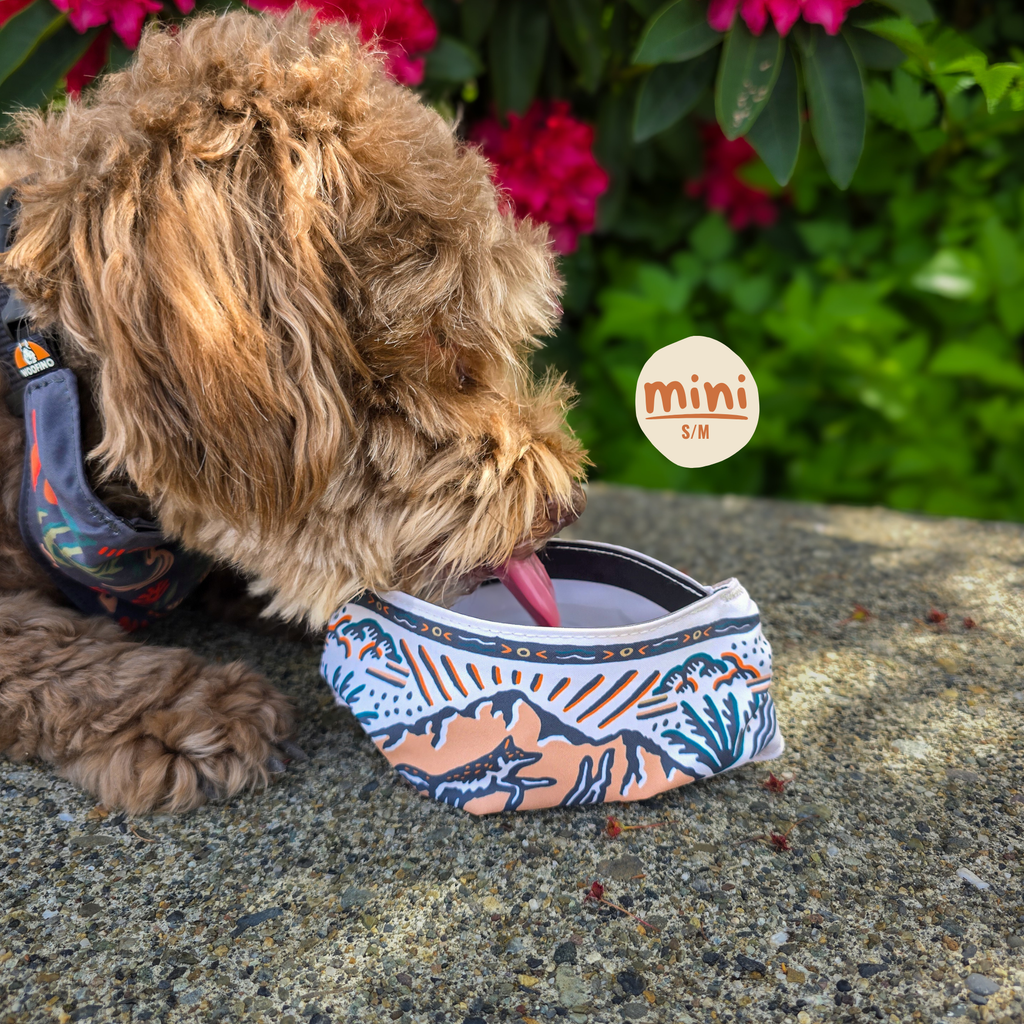 Portable Dog Bowl Bandana product image 17