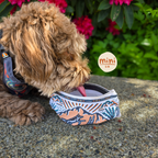 Portable Dog Bowl Bandana product image 17