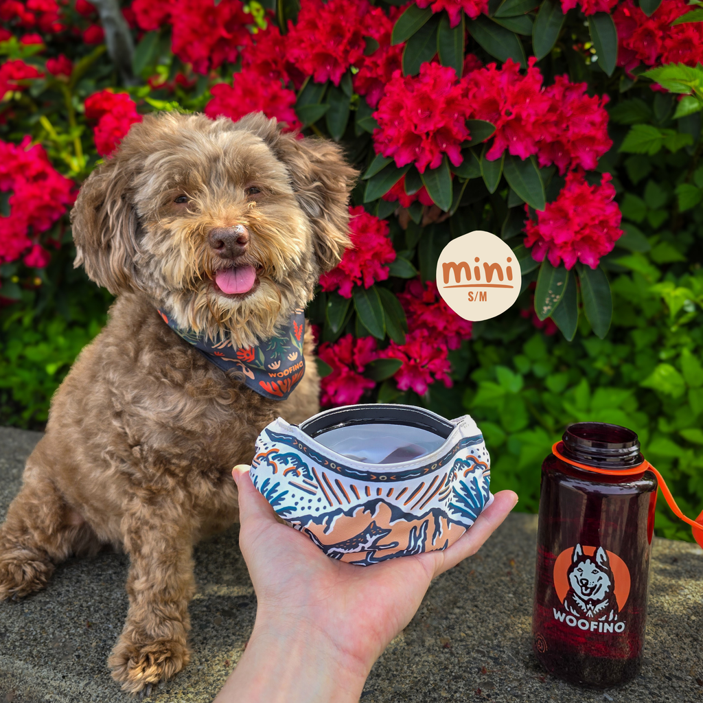 Portable Dog Bowl Bandana product image 18
