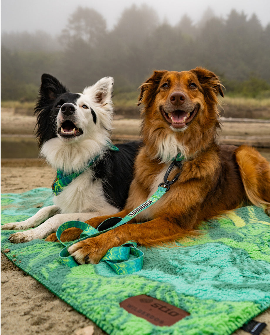 Dog Blanket product image 6