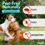 Dog Flea & Tick Chew Supplement product image 2