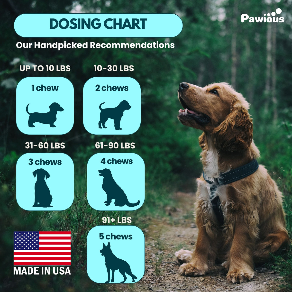 Dog Flea & Tick Chew Supplement product image 6