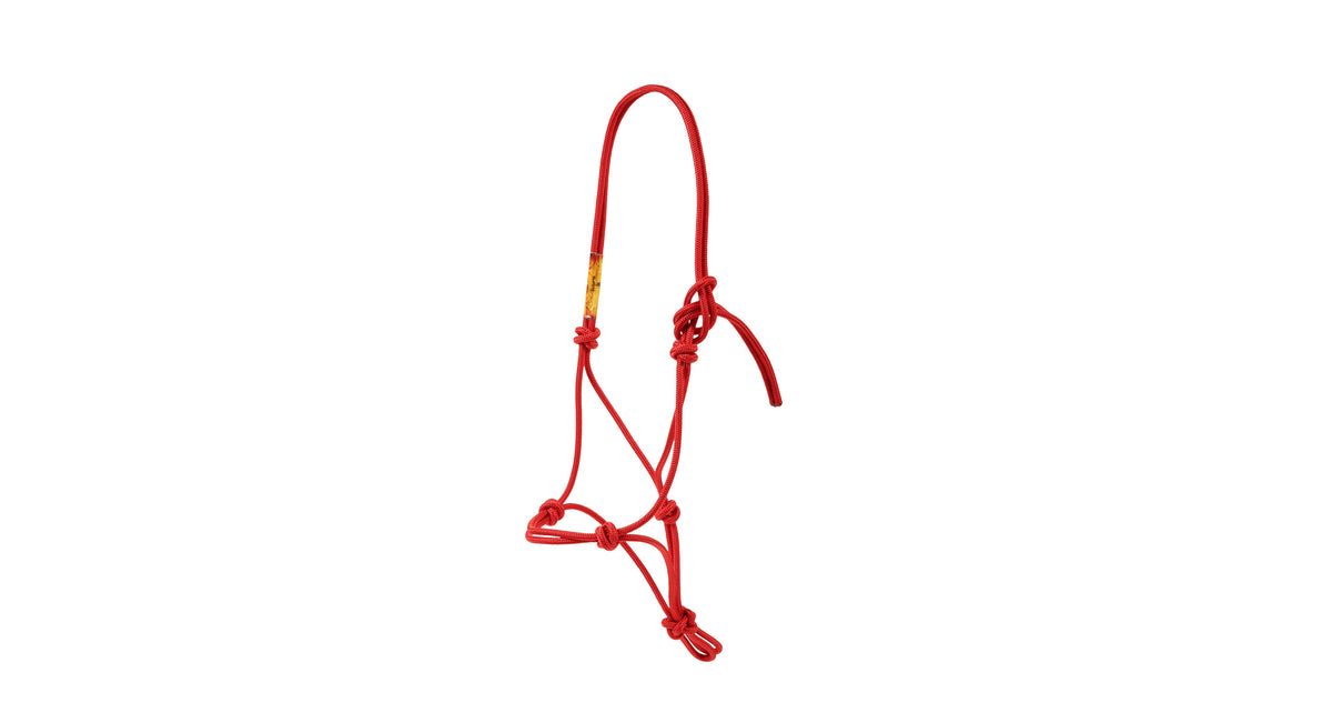 Horse Halter product image 15