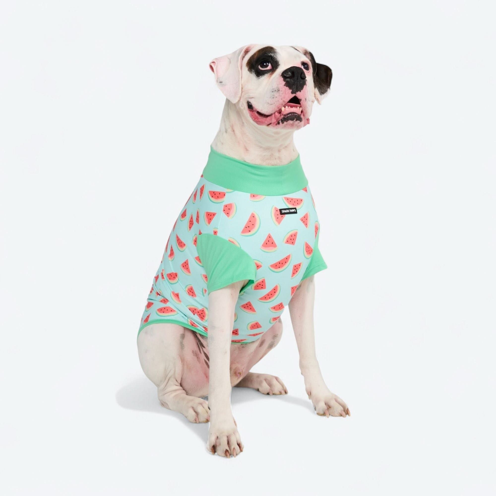 UPF 30 Printed Dog Sun Shirt product image 35