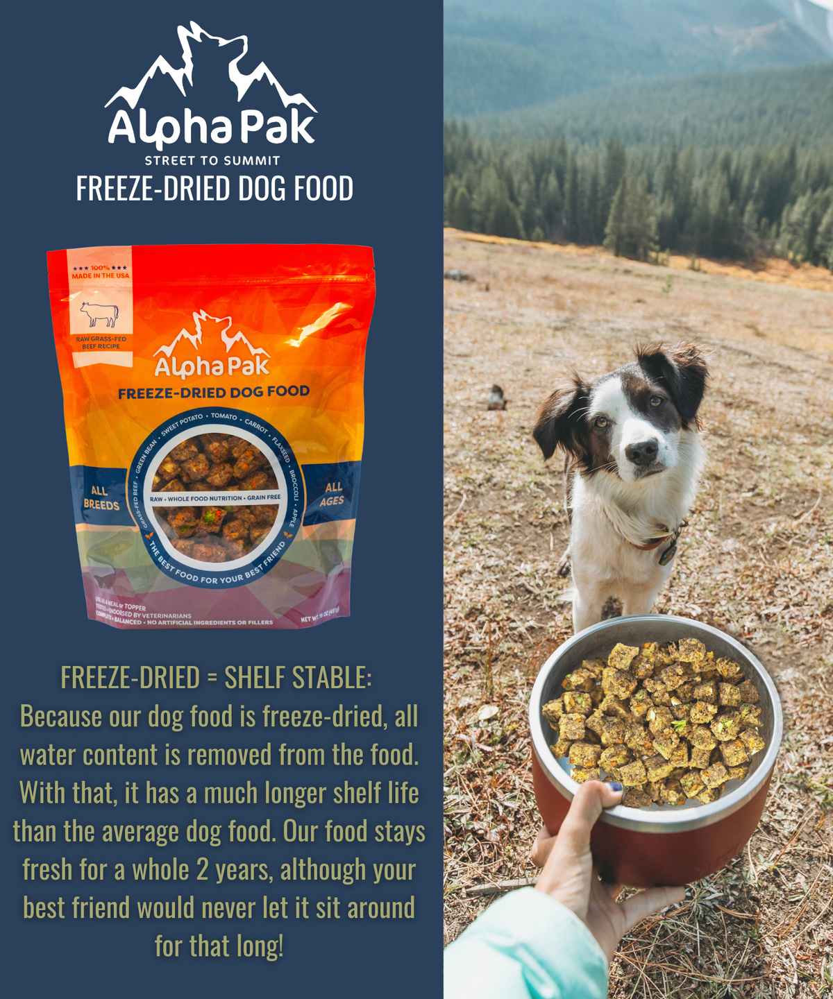 Freeze-Dried Dog Food product image 8