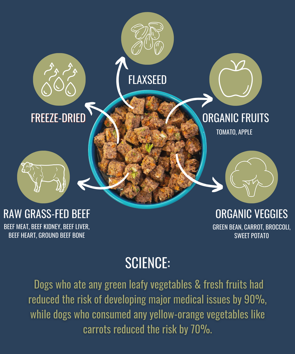 Freeze-Dried Dog Food product image 9