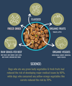 Freeze-Dried Dog Food product image 9
