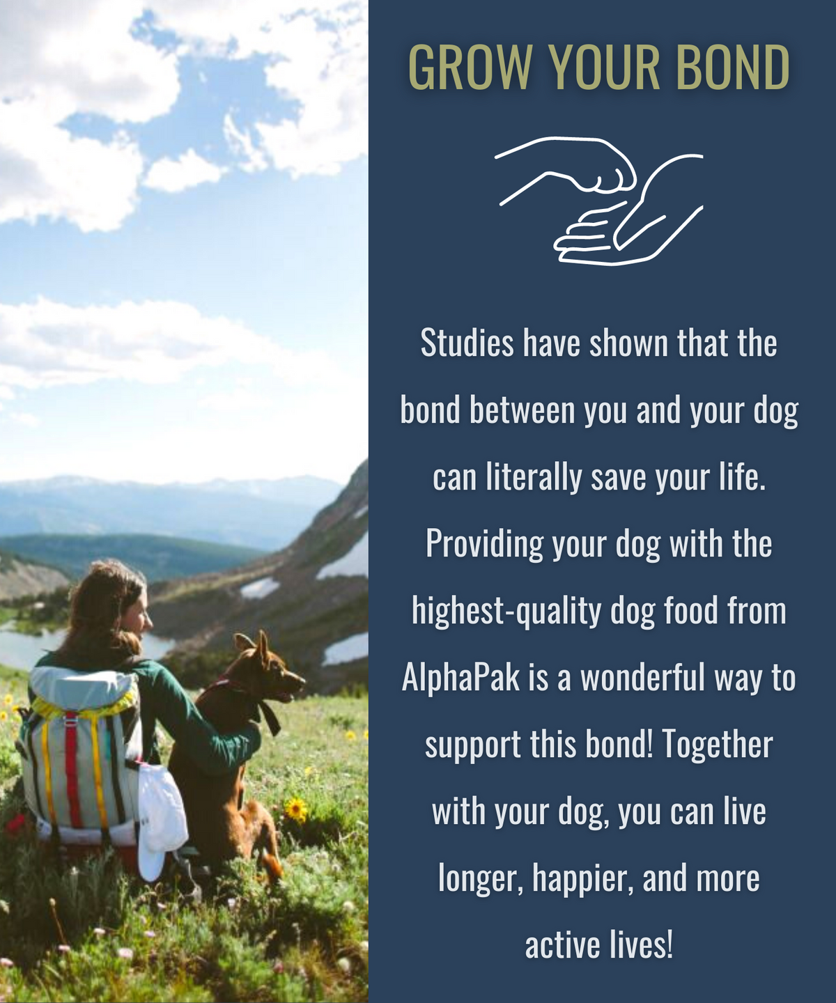 Freeze-Dried Dog Food product image 10