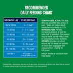 Chicken and Ancient Grains Dry Dog Food product image 5