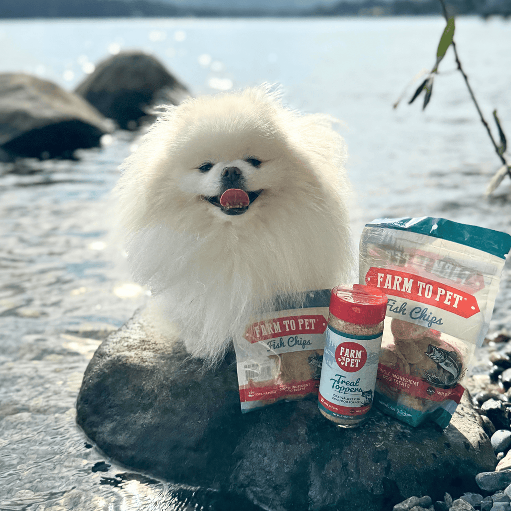 Pet Food Topper product image 3