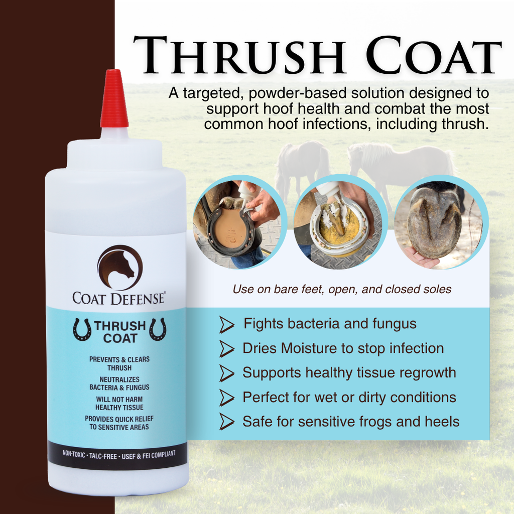 Horse Grooming Kit product image 9