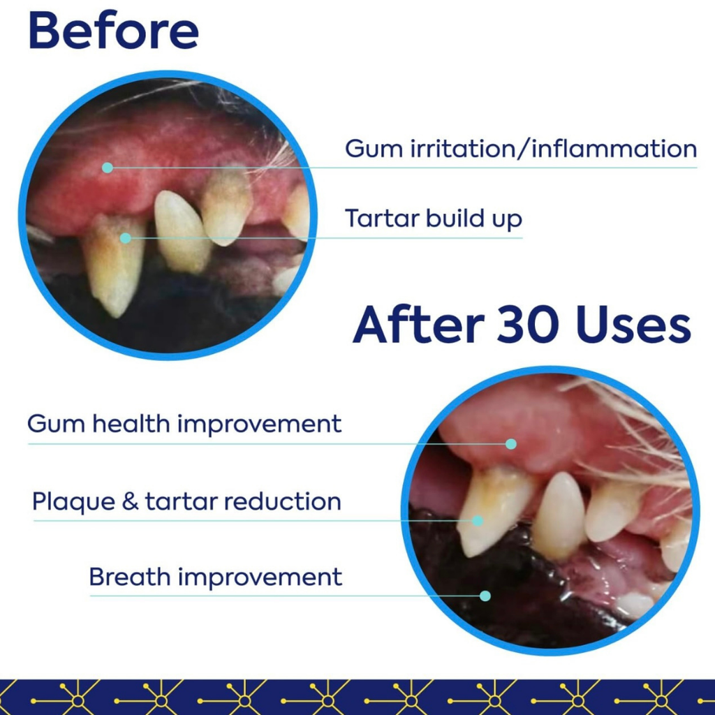 Dog Dental Powder product image 4