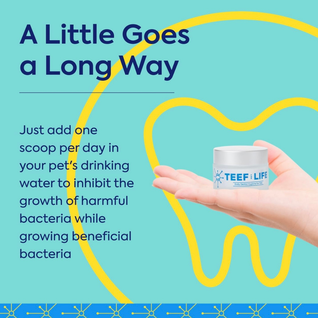 Dog Dental Powder product image 5