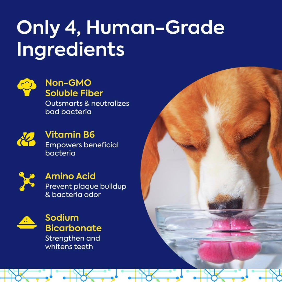 Dog Dental Powder product image 6