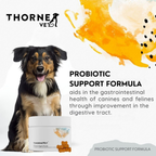 Dog Probiotic Supplement product image 4