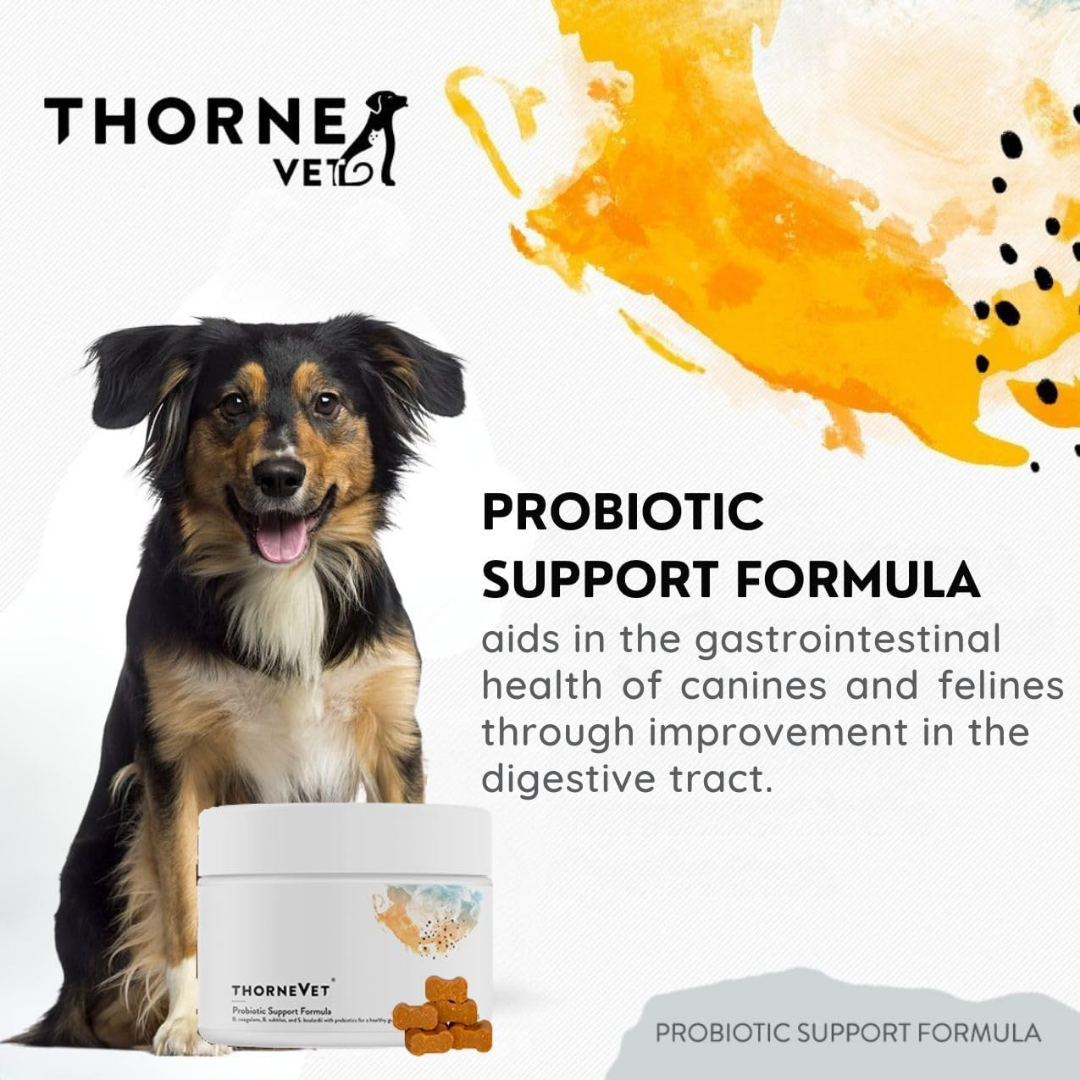 Dog Probiotic Supplement product image 4