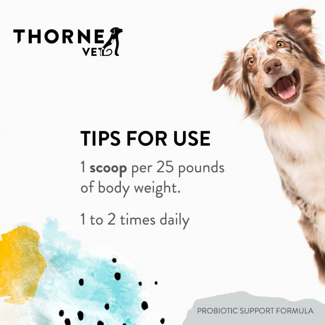 Dog Probiotic Supplement product image 11