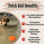 Dog Fetch Ball product image 4