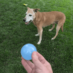 Dog Fetch Ball product image 7