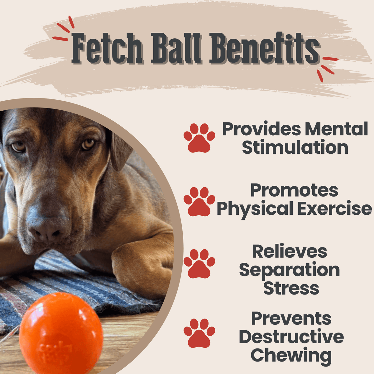 Dog Fetch Ball product image 9