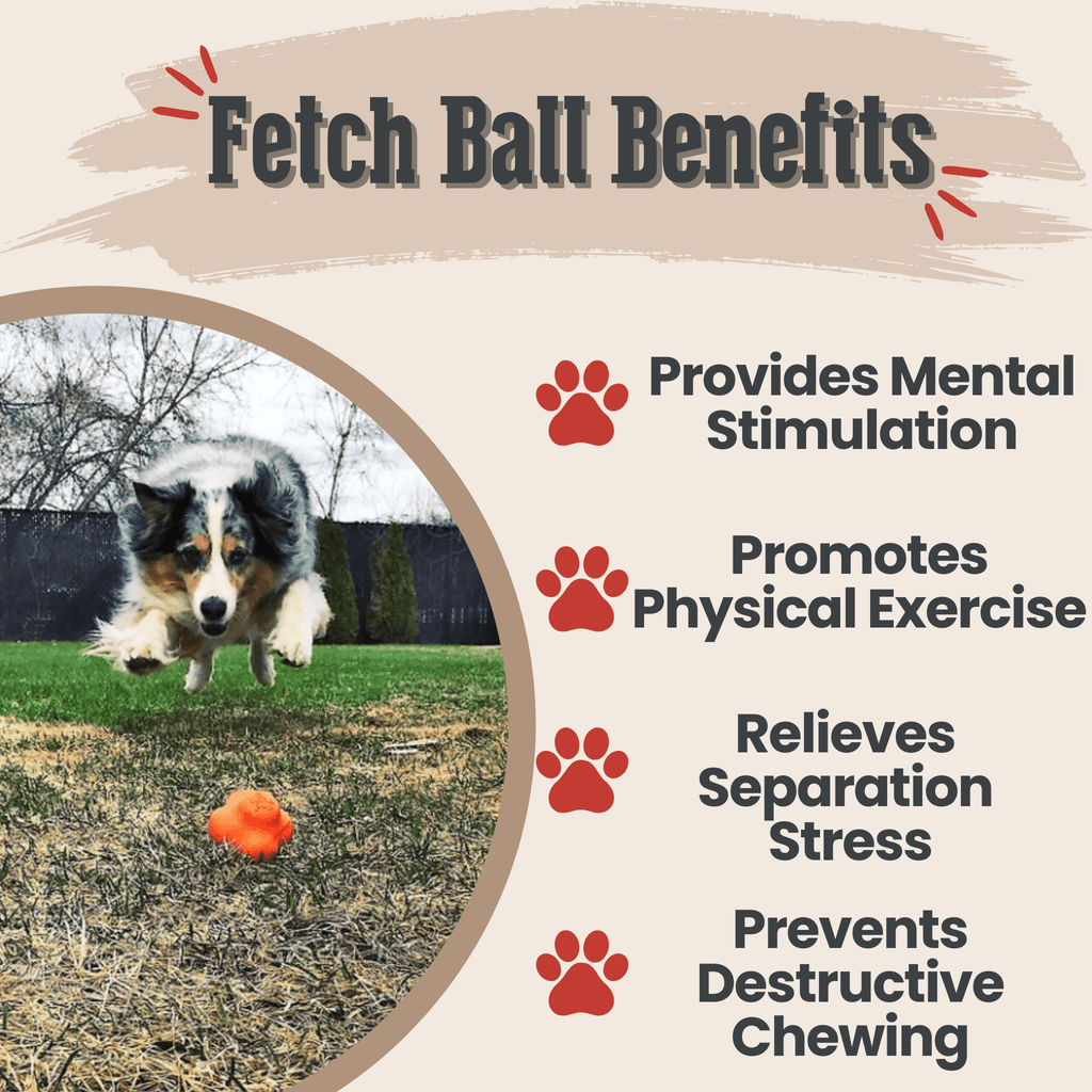 Dog Fetch Ball product image 14