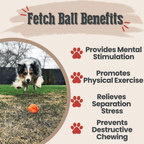Dog Fetch Ball product image 14
