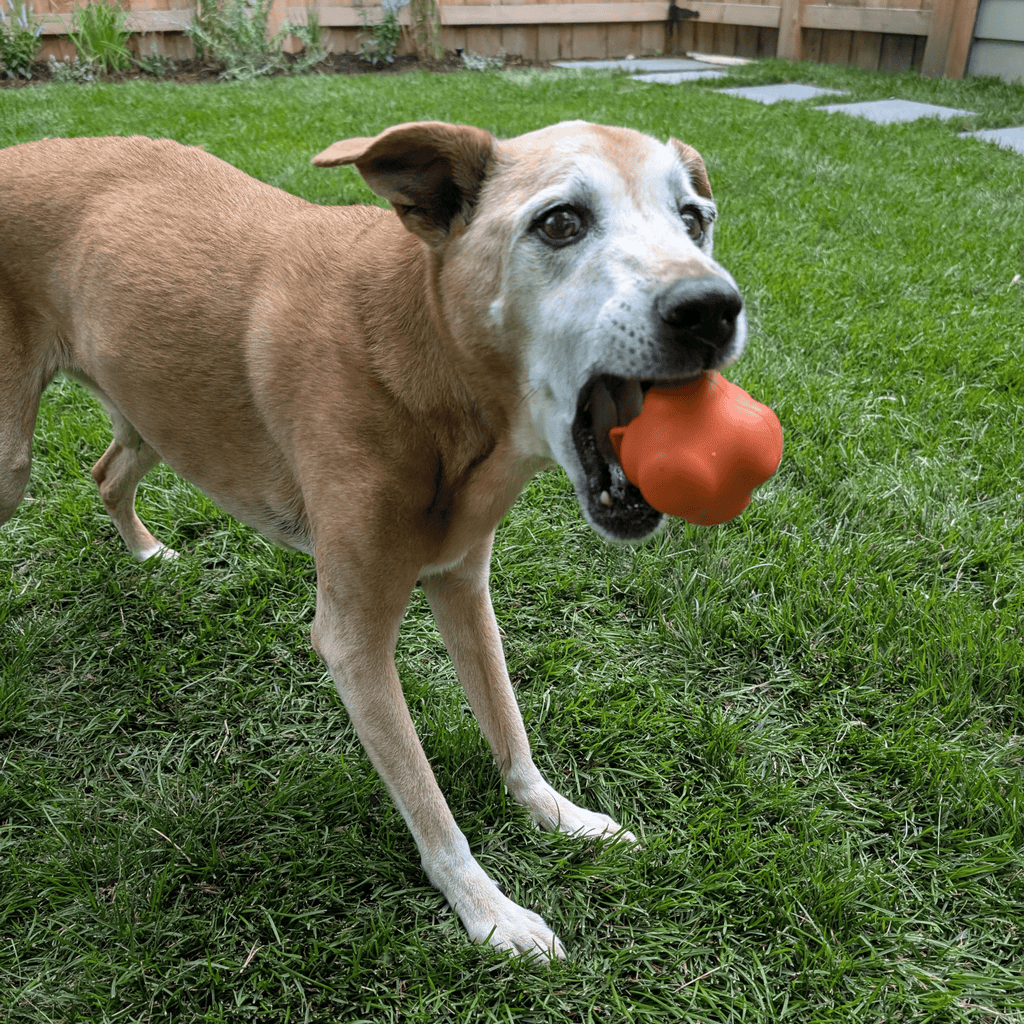 Dog Fetch Ball product image 16