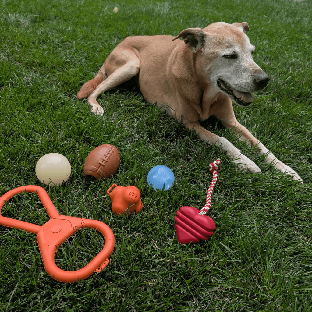 Dog Fetch Ball product image 18