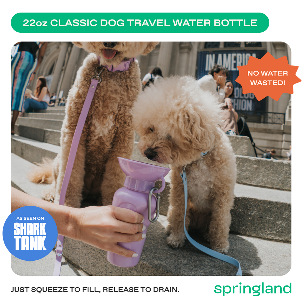 Travel Dog Water Bottle product image 3
