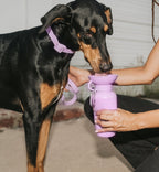 Travel Dog Water Bottle product image 5