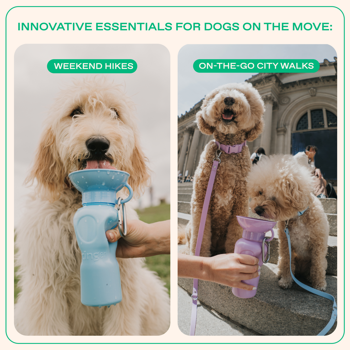 Travel Dog Water Bottle product image 10