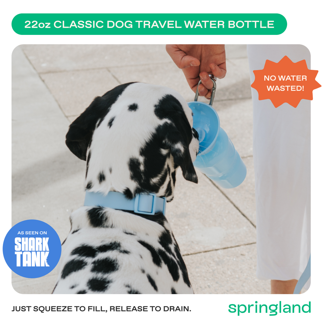Travel Dog Water Bottle product image 11