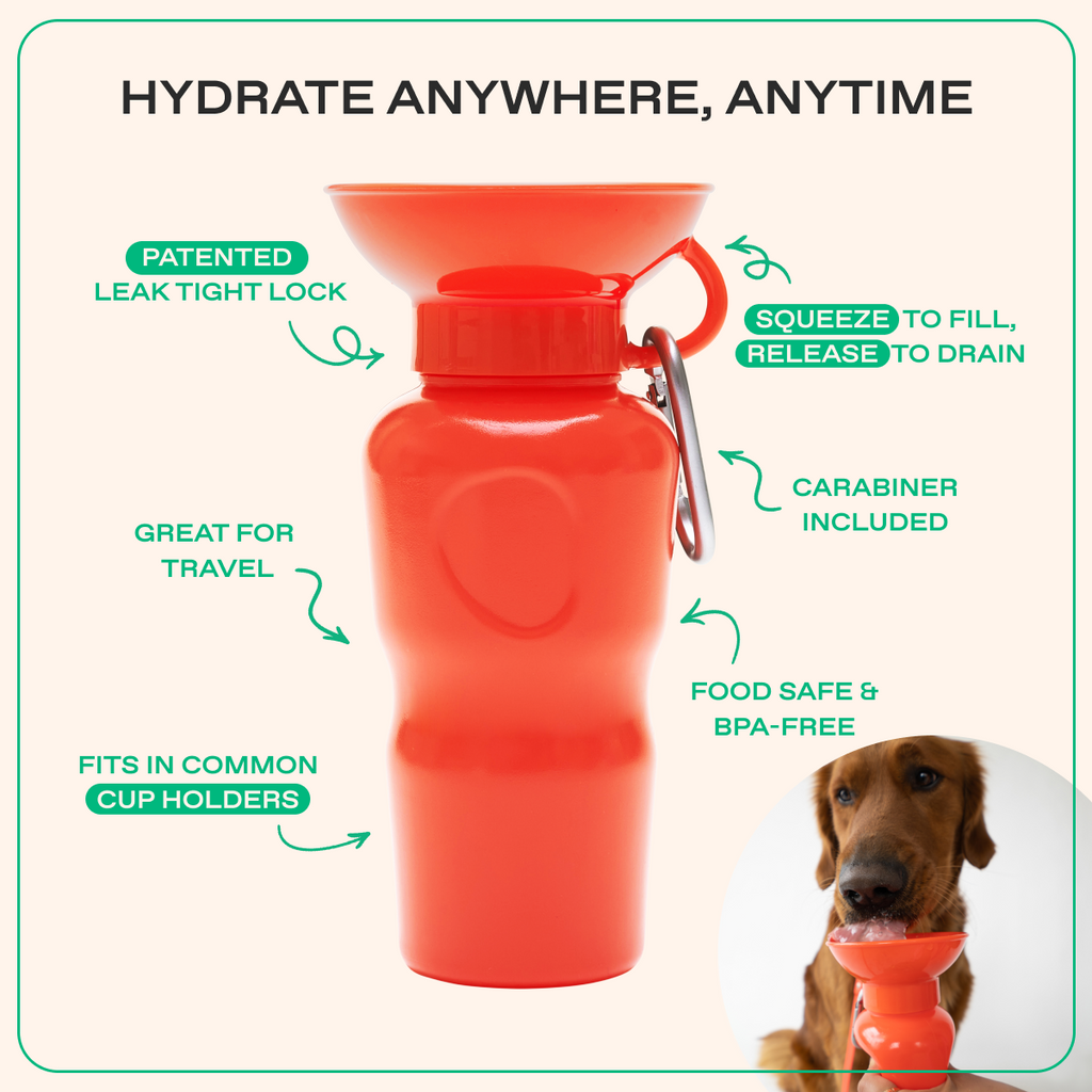 Travel Dog Water Bottle product image 13