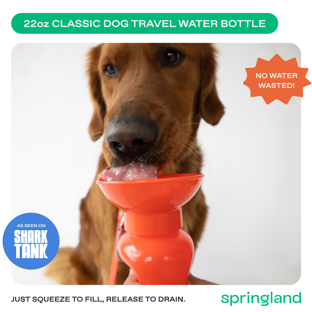 Travel Dog Water Bottle product image 14