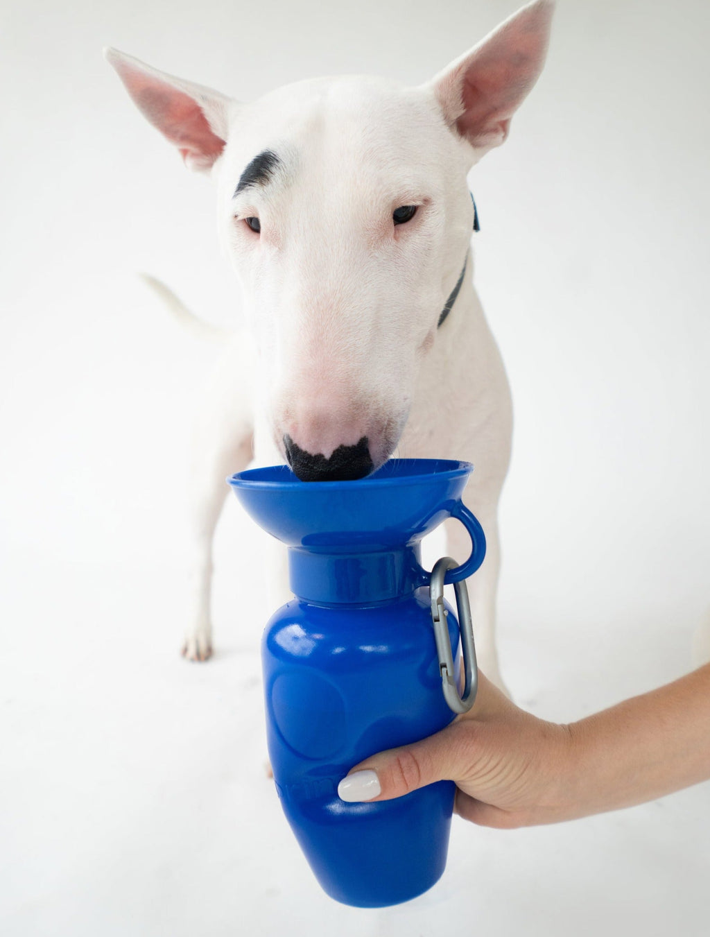 Travel Dog Water Bottle product image 20