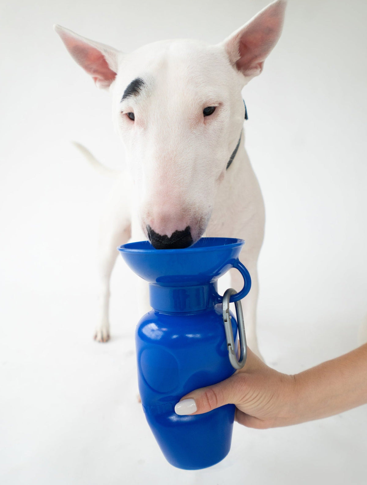 Travel Dog Water Bottle product image 20