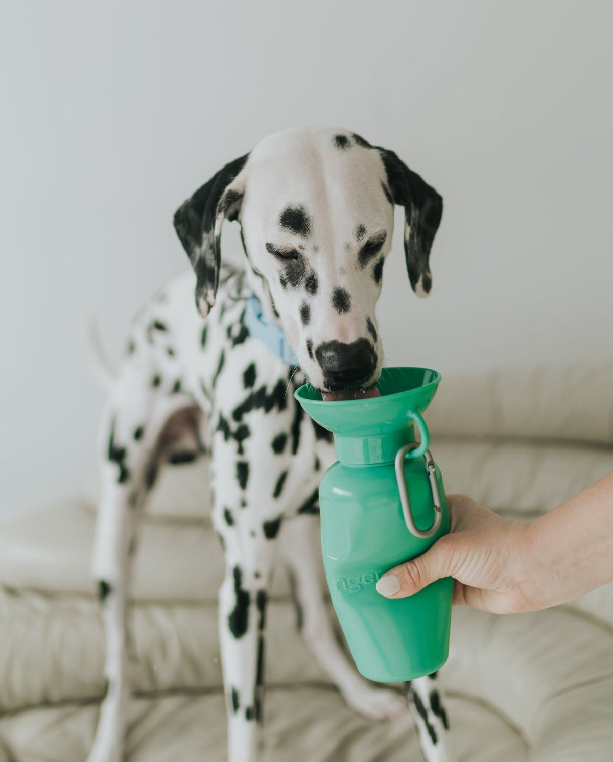 Travel Dog Water Bottle product image 24