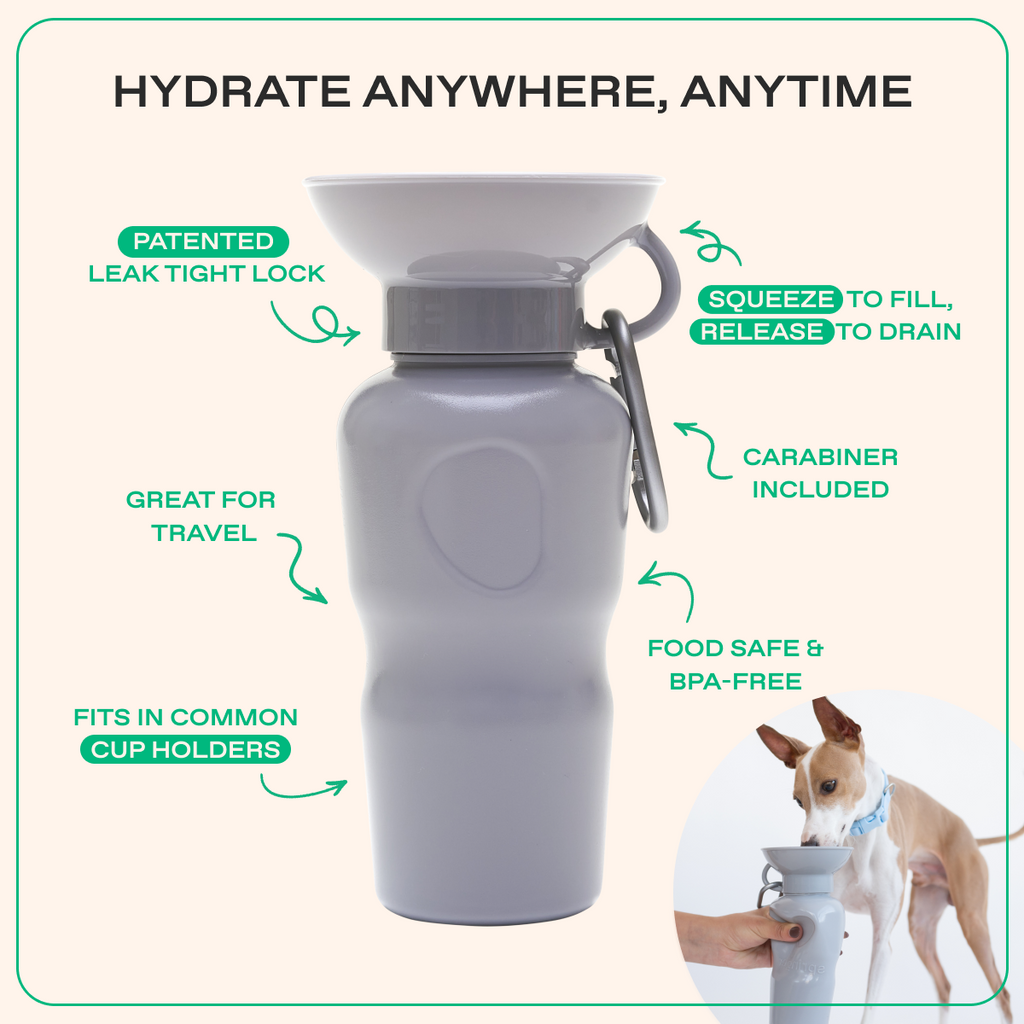 Travel Dog Water Bottle product image 26