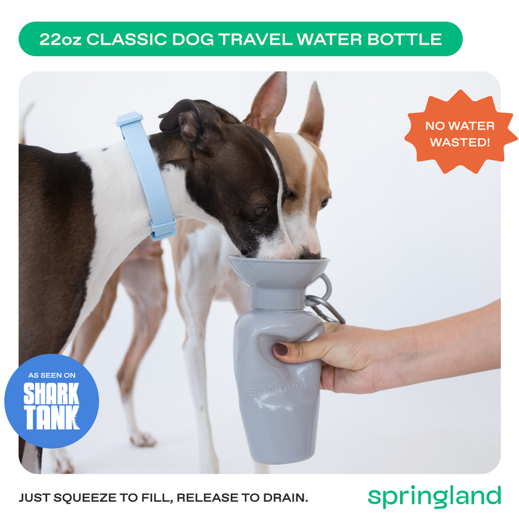 Travel Dog Water Bottle product image 28