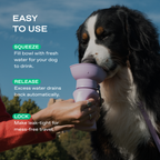 Dog Water Bottle product image 3