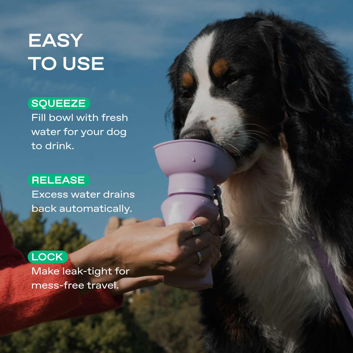 Dog Water Bottle product image 3