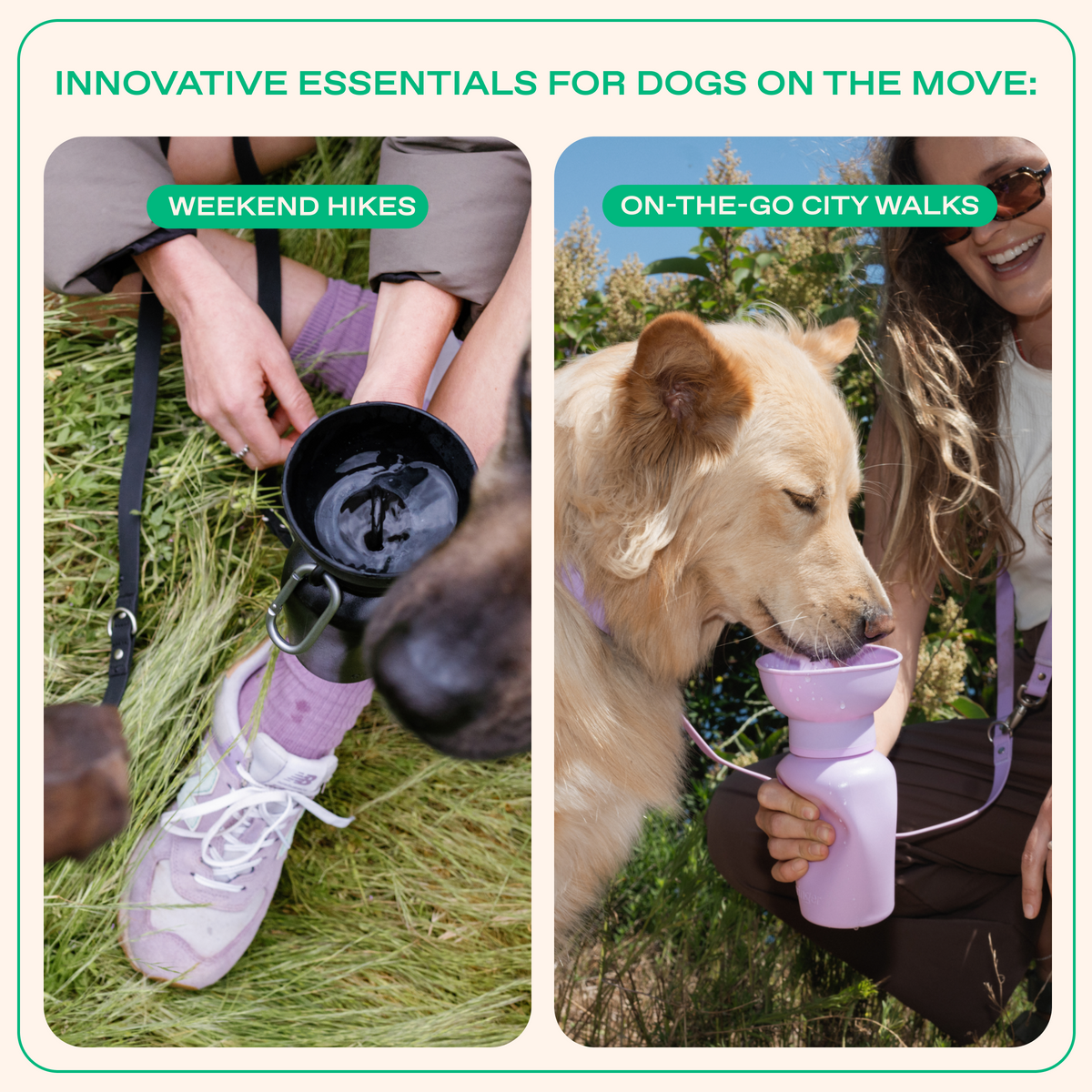 Dog Water Bottle product image 7