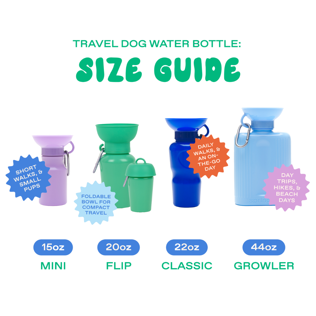 Dog Water Bottle product image 9
