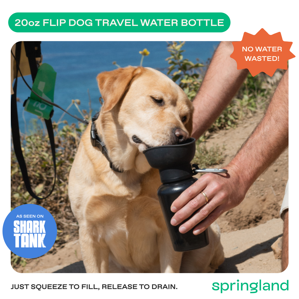 Dog Water Bottle product image 12