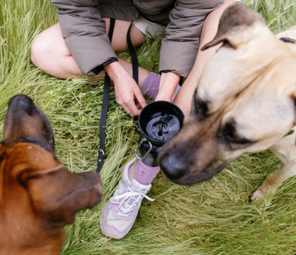 Dog Water Bottle product image 13