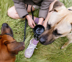 Dog Water Bottle product image 13