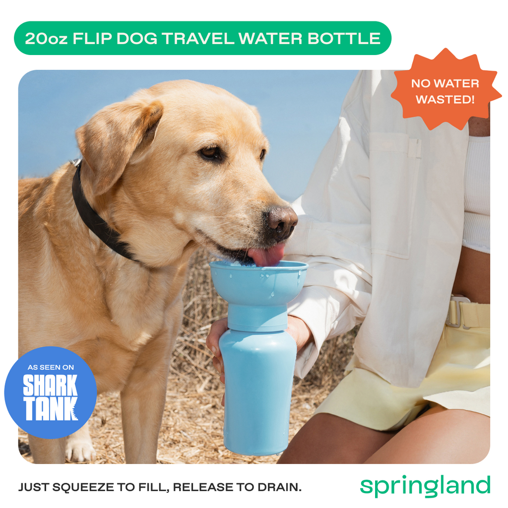 Dog Water Bottle product image 16