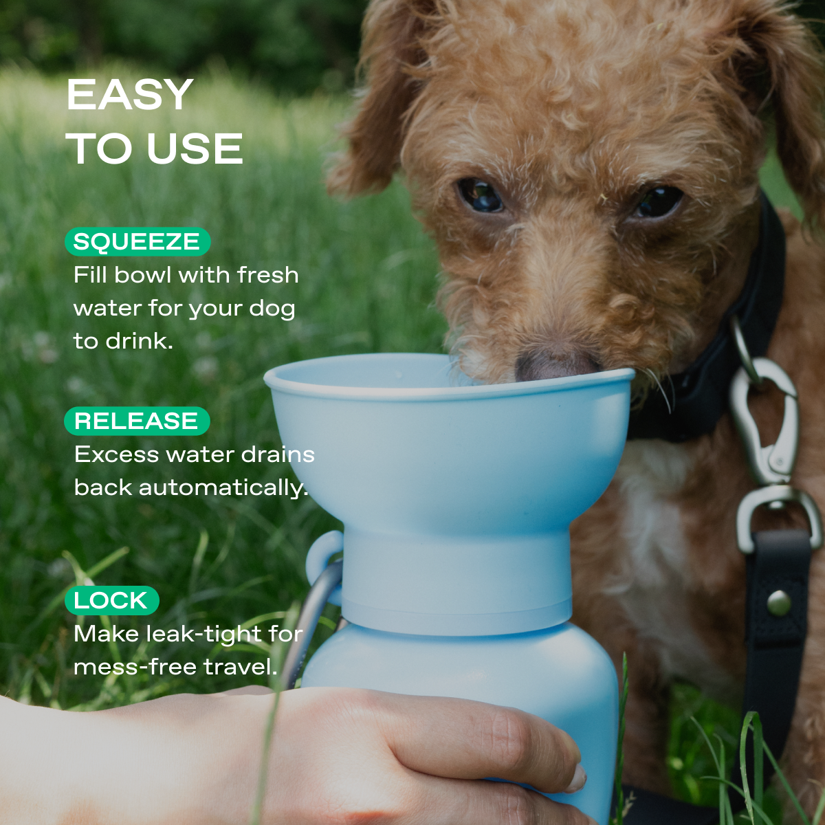 Dog Water Bottle product image 17