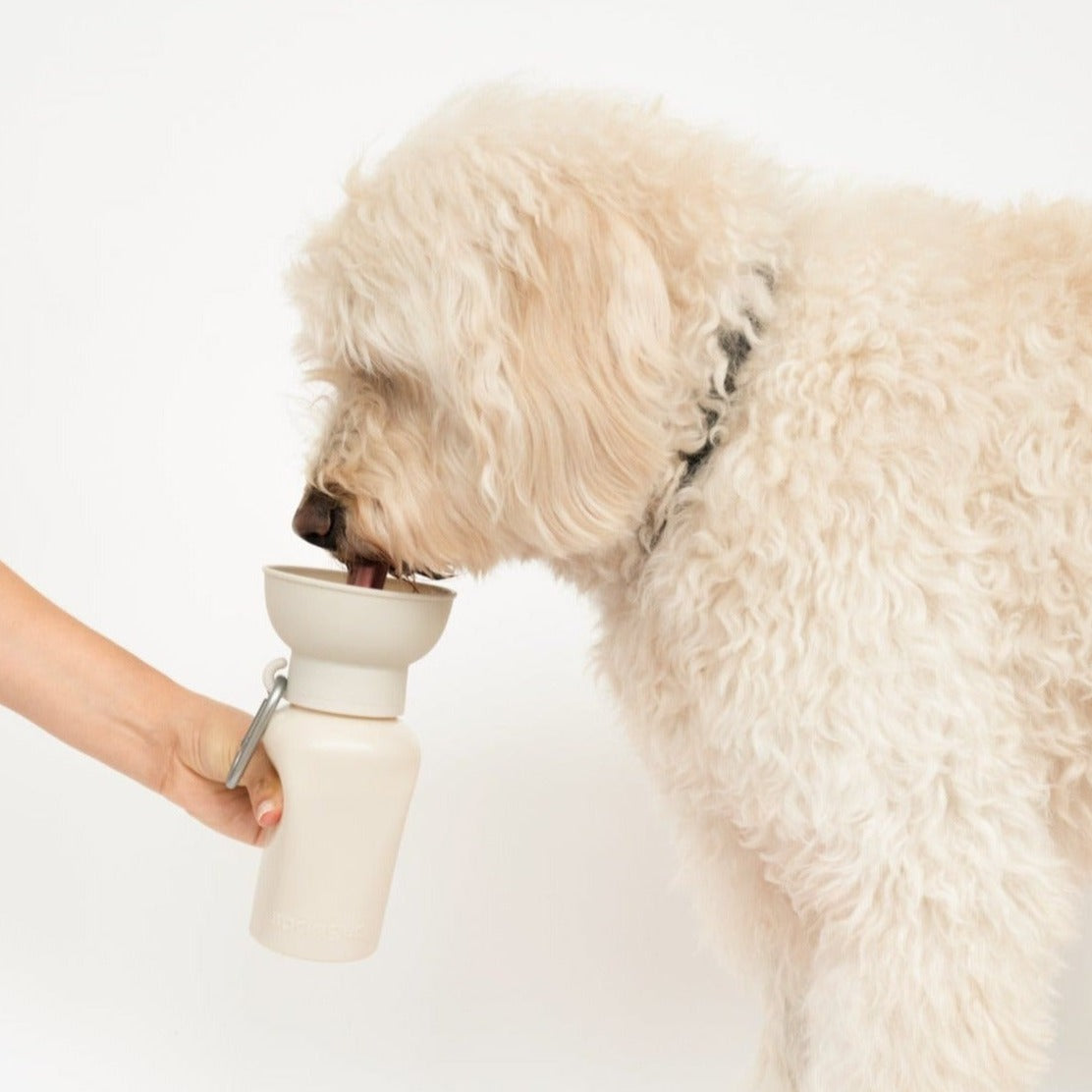 Dog Water Bottle product image 24