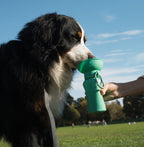 Dog Water Bottle product image 28